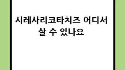 시레사리코타치즈: 건강과 맛을 한번에! 🧀✨